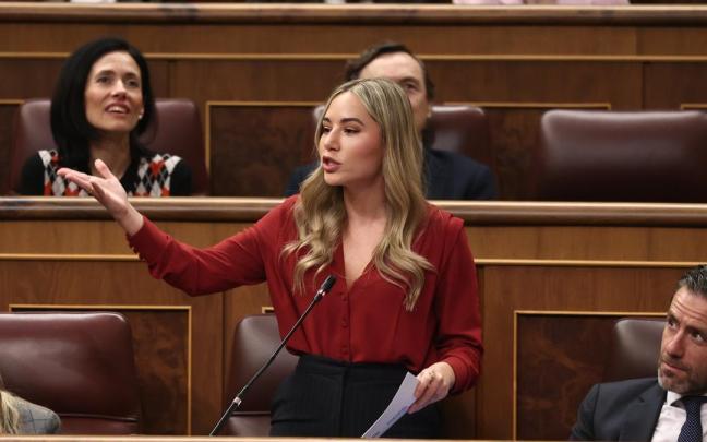La diputada del PP en el Congreso Noelia Núñez interviene desde su asiento en un pleno de la Cámara baja