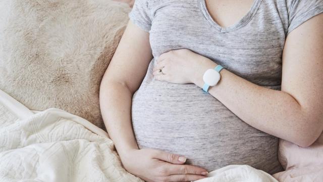 La ley solo recoge un artículo específico para prohibir la promoción comercial y la publicidad de la gestación subrogada, aunque una simple búsqueda en internet muestra las numerosas agencias que siguen ofreciendo sus servicios.