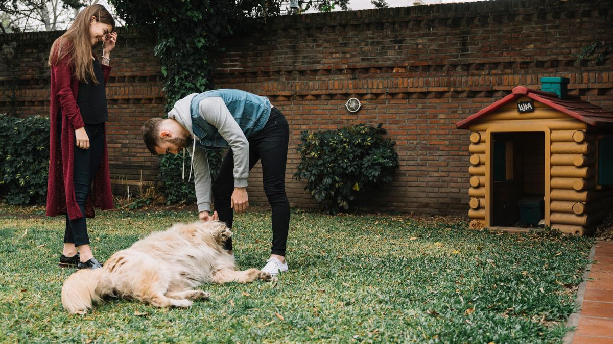 Un perro disfruta de los juegos con sus humanos en el jardín de casa.