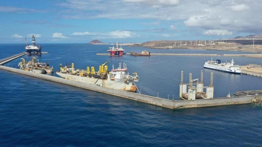 El puerto de Granadilla (Tenerife), una zona industrial alejada de núcleos poblacionales, es hostil para la vida de los ratos colilargos.