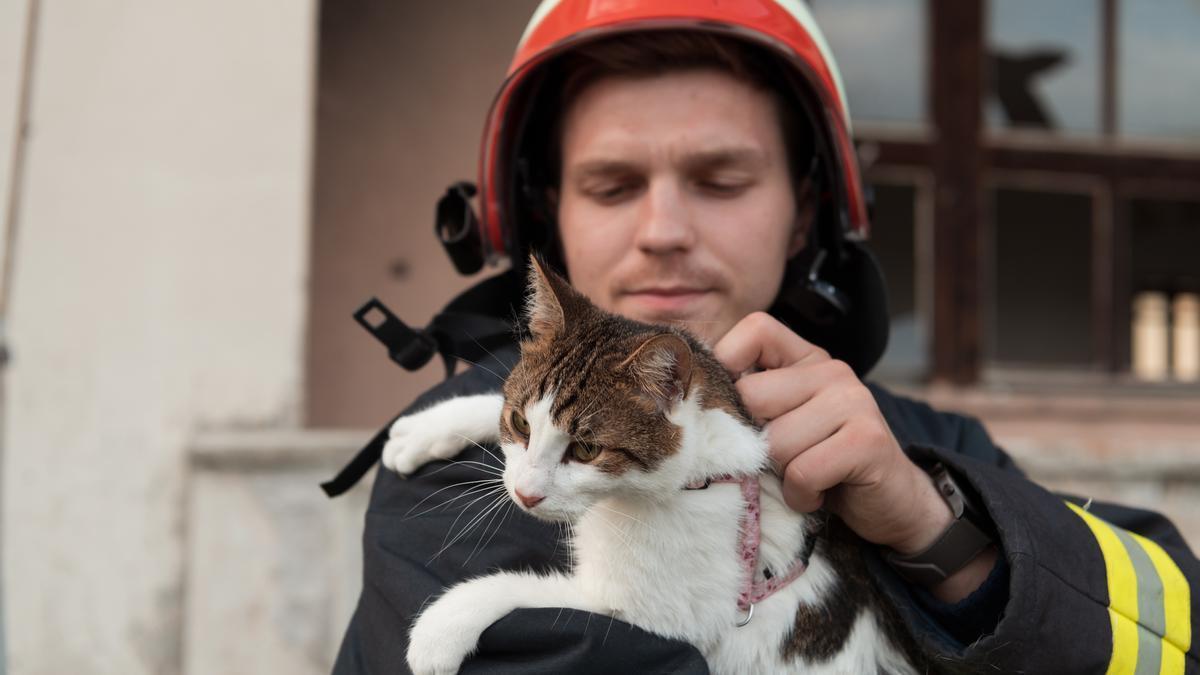 Bombero rescata a un gato de un incendio.