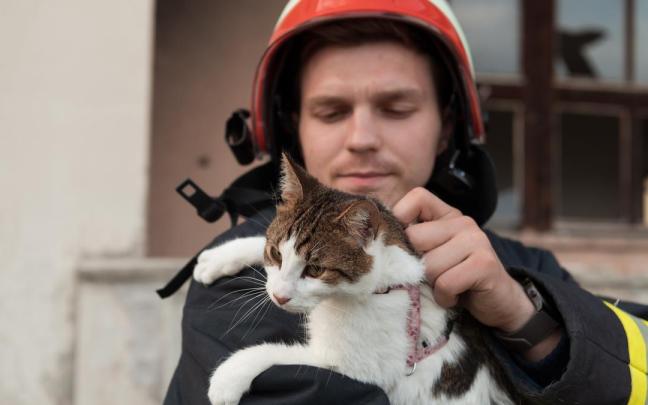 Bombero rescata a un gato de un incendio.