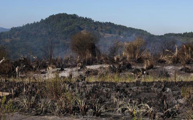 Estado en el que quedó la zona afectada por el incendio cerca del aeropuerto de Bilbao / Deia - Pankra Nieto