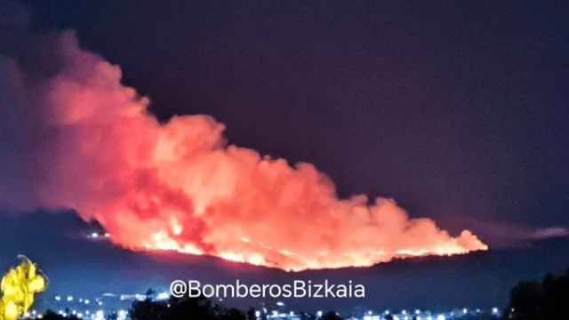 Incendio declarado en Derio. BOMBEROS DE BIZKAIA 