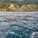 Descarte denunciado por Eguzki. EGUZKI