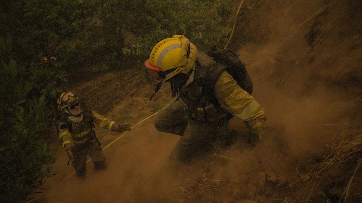 Varios bomberos forestales tratan de extinguir un fuego.