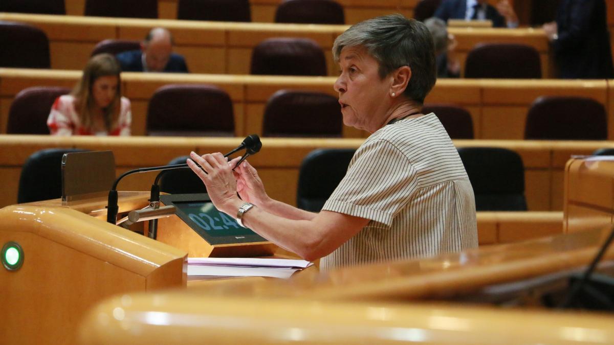 La senadora del PNV, Nerea Ahedo