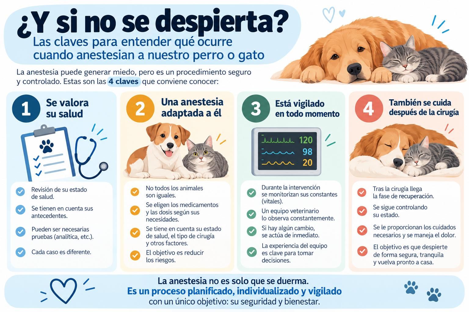 Es importante tener en cuenta ciertos aspectos sobre la anestesia veterinaria.