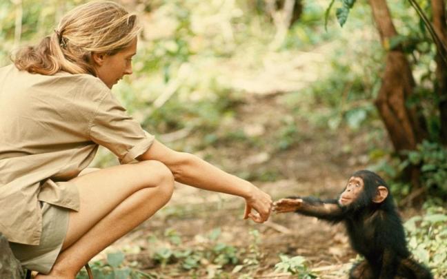 Jane Goodall.