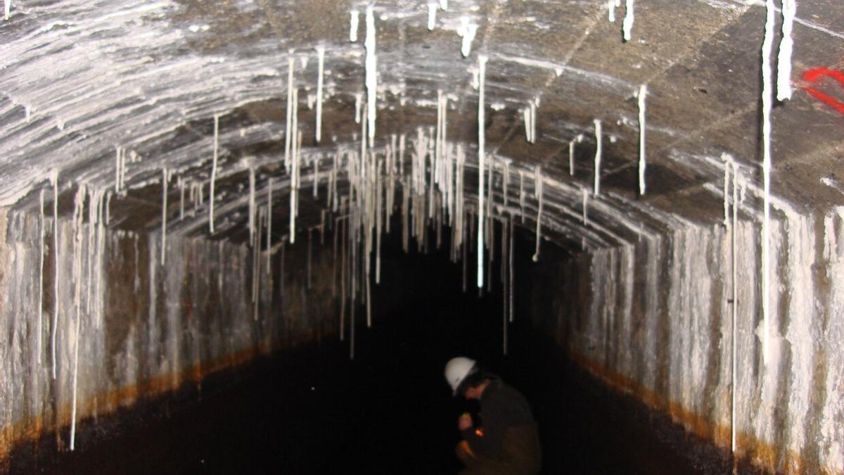 Imagen del interior del actual Canal Bajo del Añarbe.