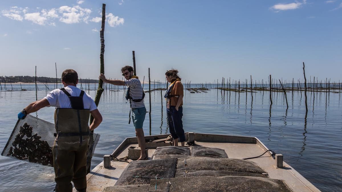 Turistas participando en la pesca.