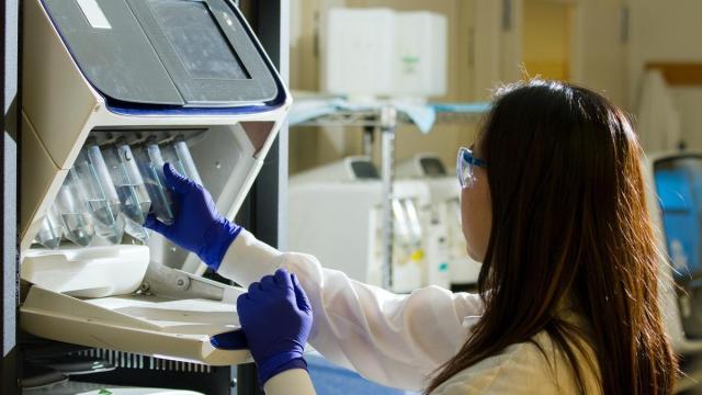 Una mujer trabajando en un laboratorio científico.