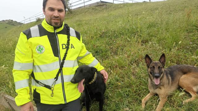 DYA Perros Bizkaia Joseba Allende