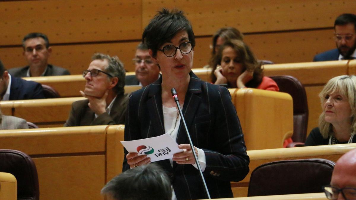 La senadora del PNV, María Dolores Etxano, durante su intervención.