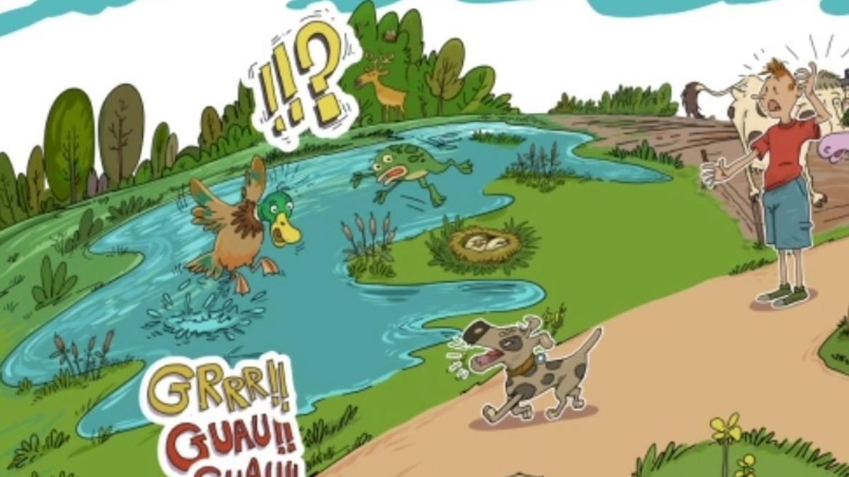 Txakurrek Eraztun Berdean lotuta joan behar dutela gogorarazteko kanpaina abiatu dute Gasteizen.