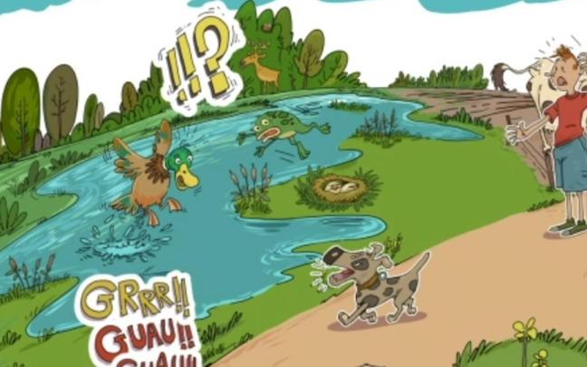 Txakurrek Eraztun Berdean lotuta joan behar dutela gogorarazteko kanpaina abiatu dute Gasteizen.