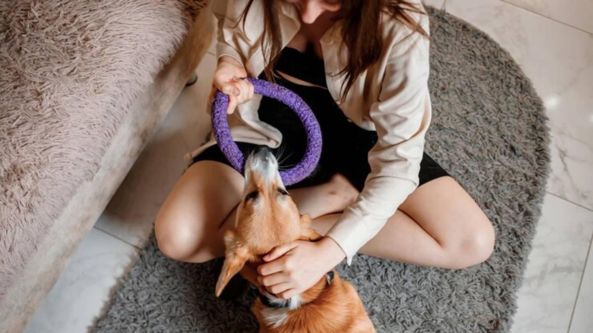 Dueña juega con su perro ofreciéndole un juguete.