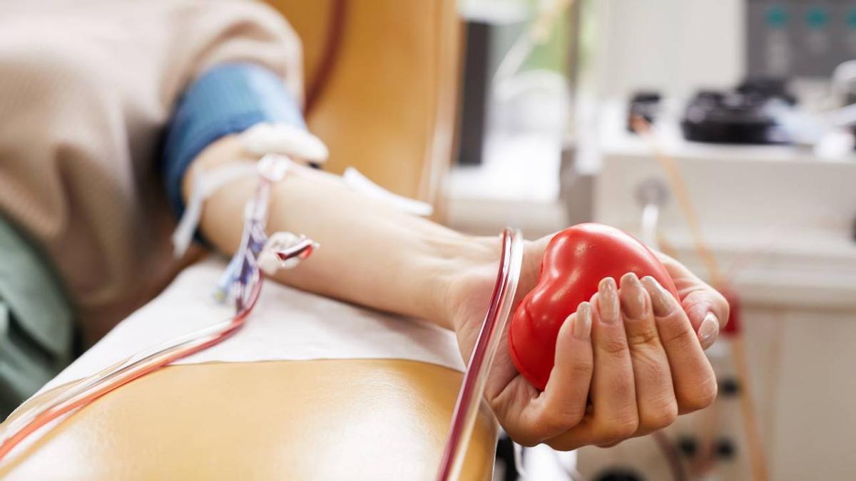 Una de cada dos personas necesitará sangre alguna vez en su vida.