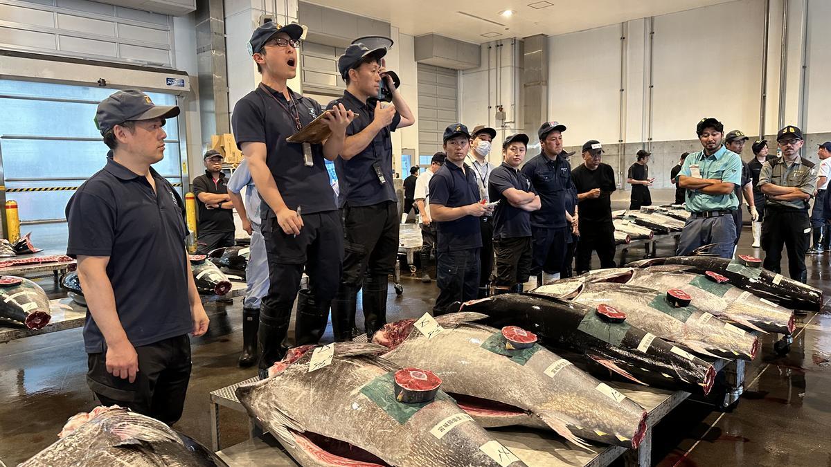 Subasta de atún en el mercado de Sapporo.