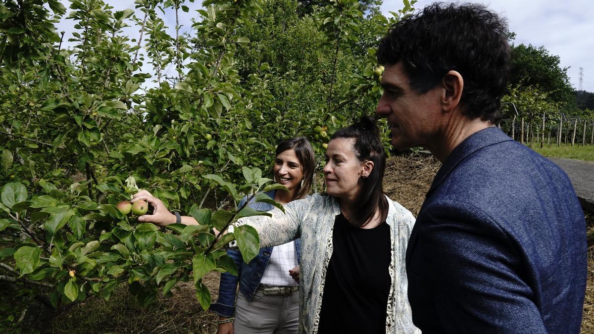 Recorrido de Rementeria por las plantaciones de manzanas y kiwi del caserío