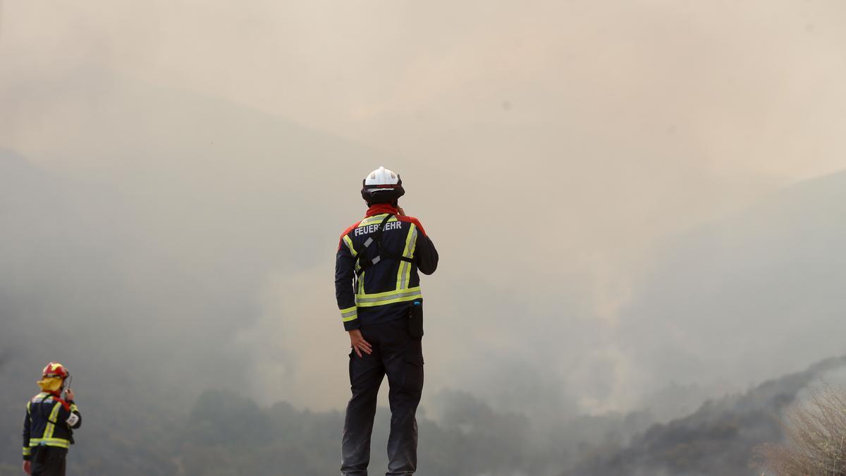 Varios bomberos observan el incendio forestal