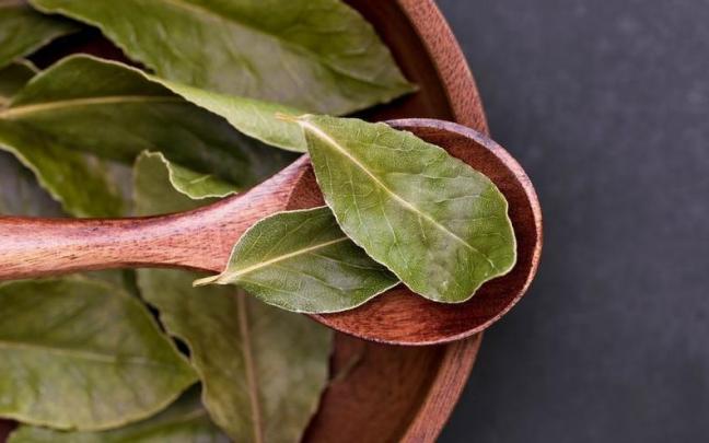 Hojas de laurel en un recipiente de madera.