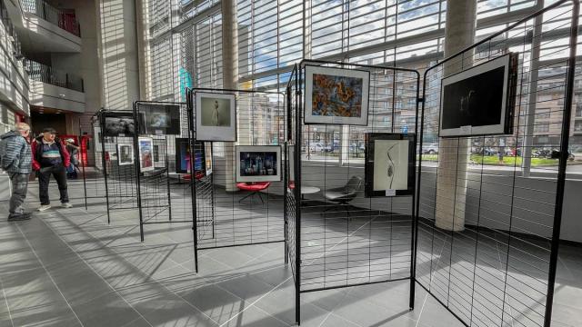 Foto de la exposición que la Asociación Fotográfica Irunesa ha instalado en el Espacio Palmera Montero de Irun.