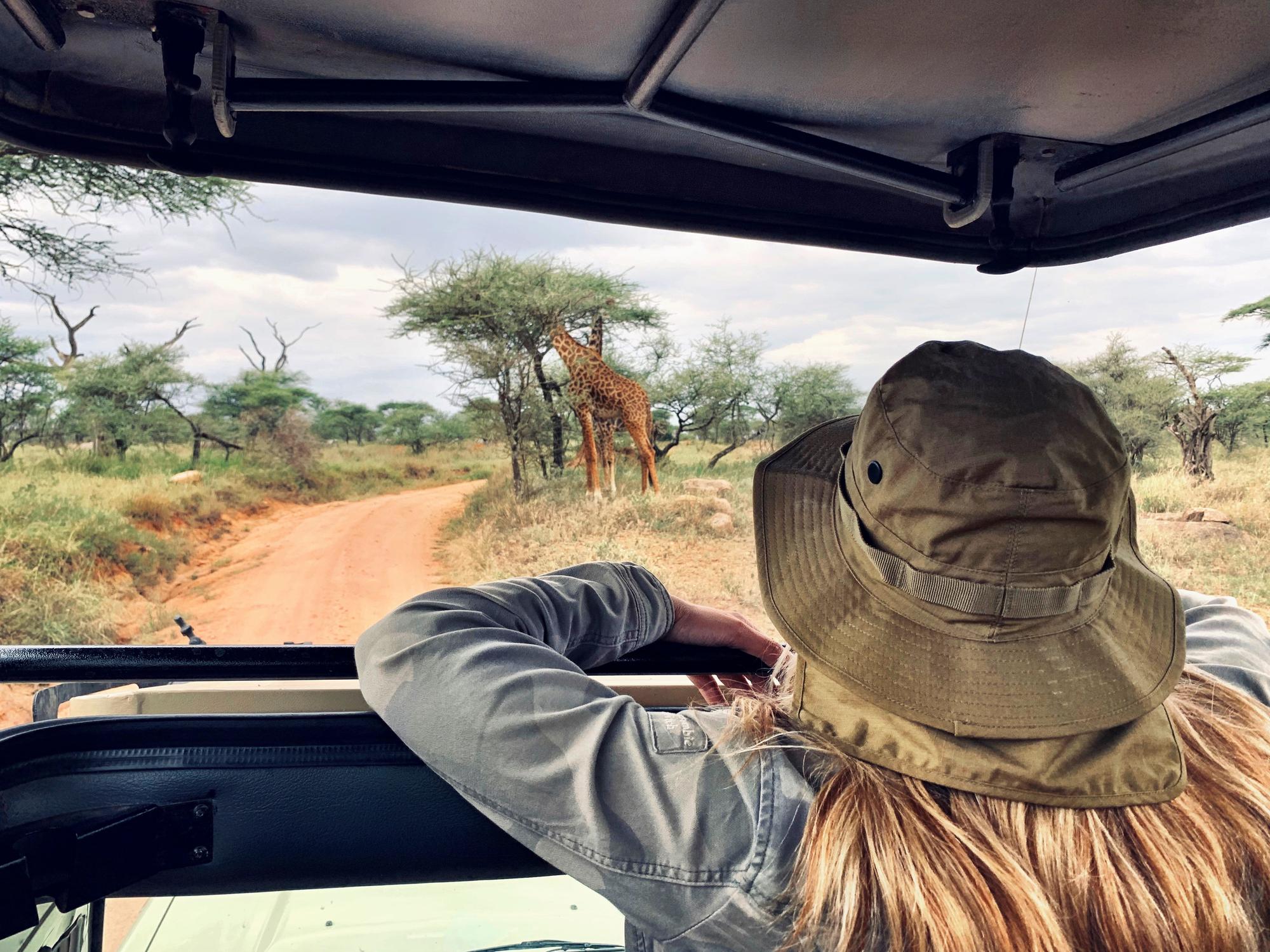 Una mujer contempla una jirafa durante un safari en África.