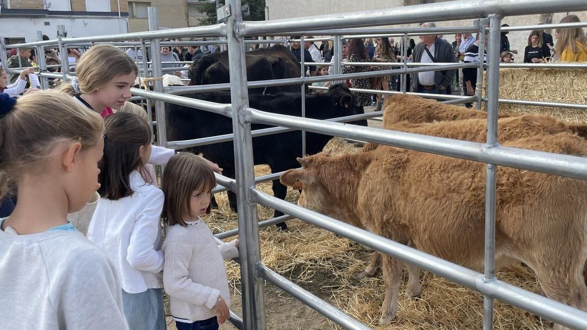 La feria ecuestre de Marcilla.