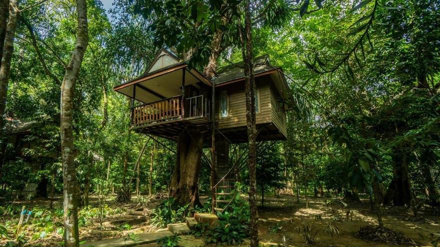 Cabaña colgante en plena selva.