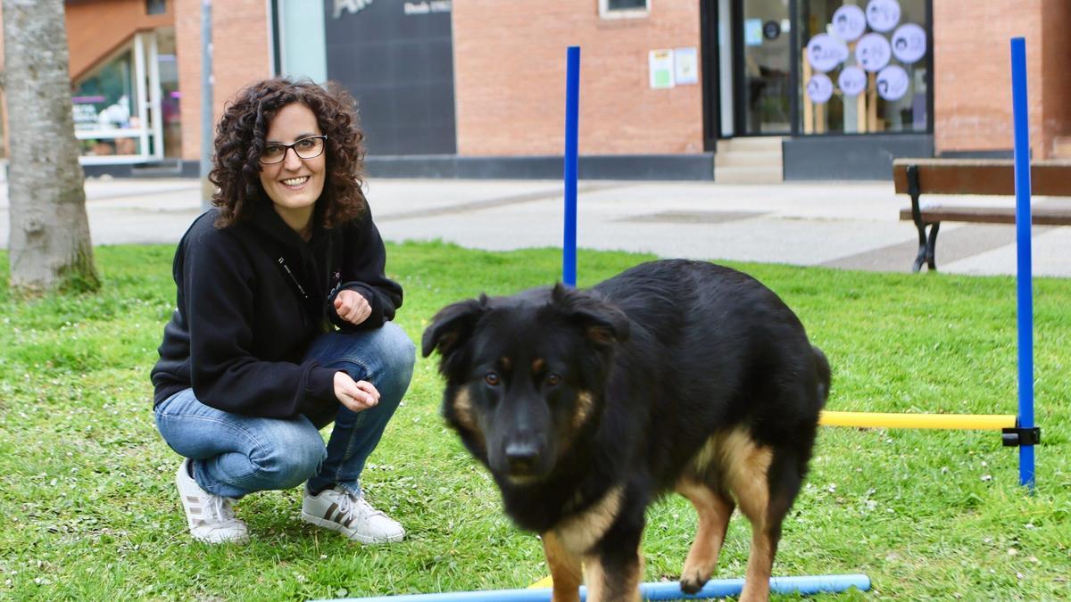En imágenes: Bienestar emocional...para perros