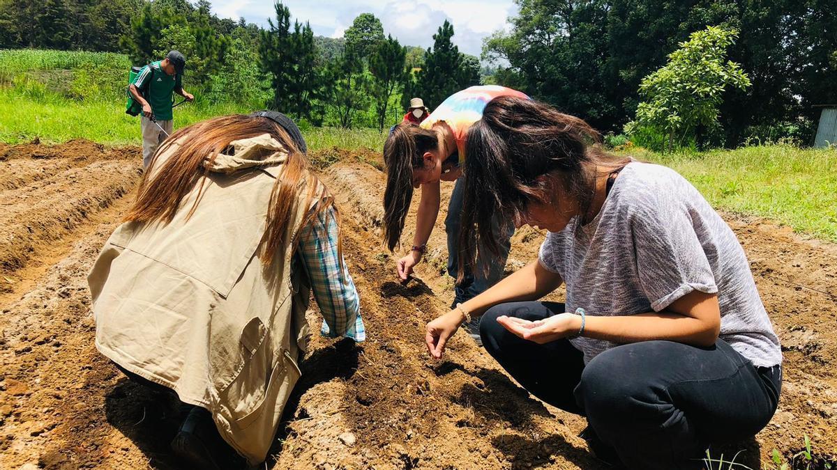 Varias cooperantes vascas trabajan en un proyecto en Honduras.