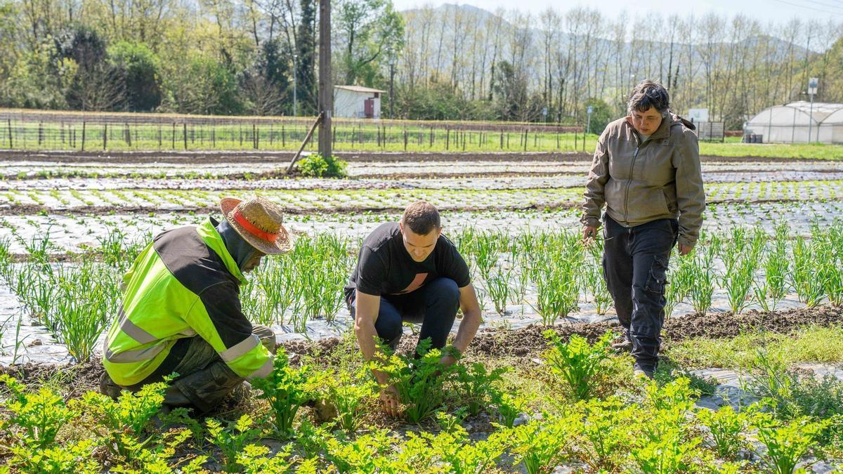 Varias personas trabajando en la zona de huertas de Karabeleko