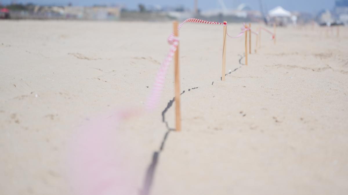Zona acordonada durante las labores de limpieza en la playa del Saler.