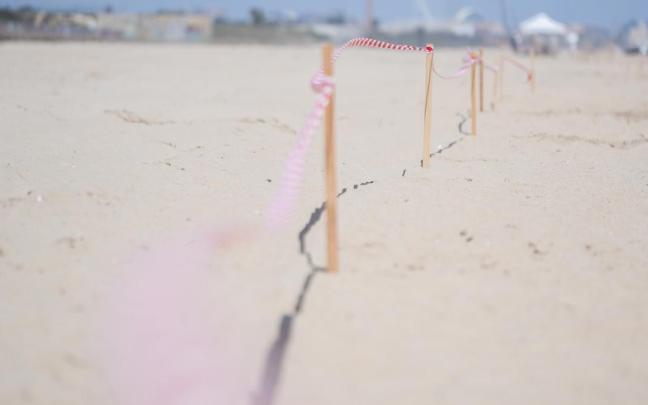 Zona acordonada durante las labores de limpieza en la playa del Saler.