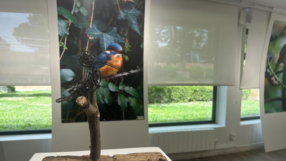 Exposición disponible hasta el día 19