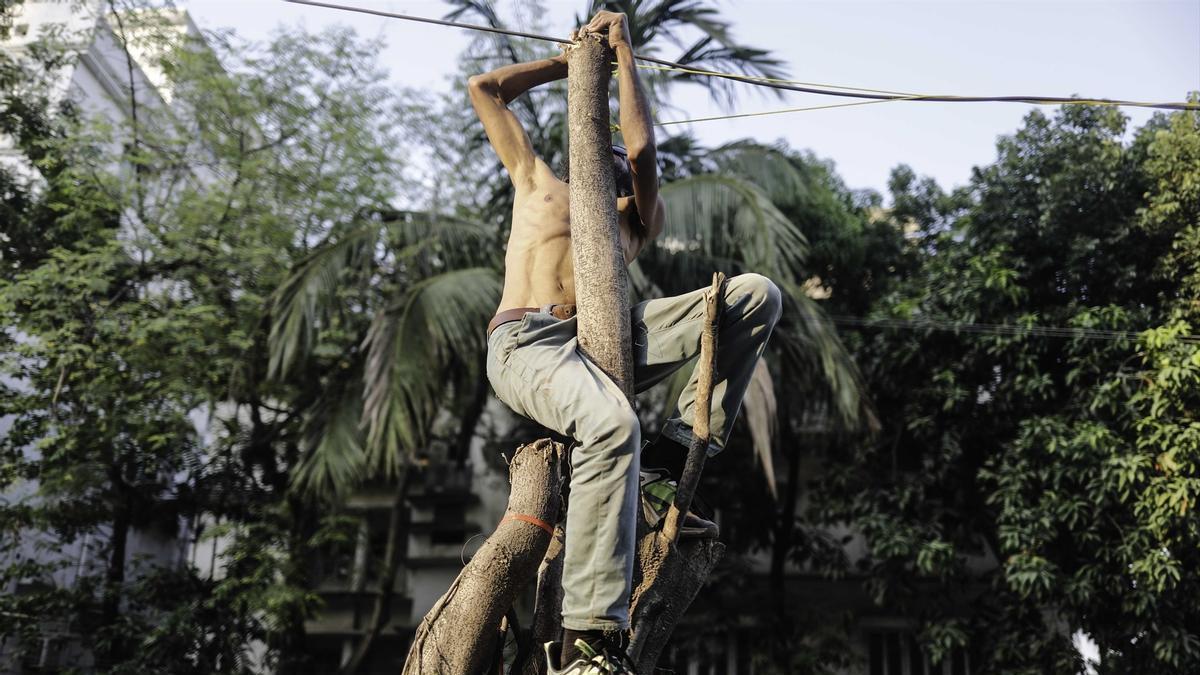 Imagen de archivo de un hombre subido a un poste en Bangladesh.