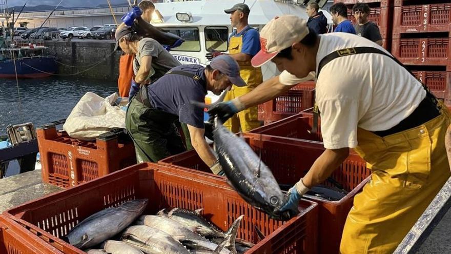 Arrantzales colocan el pescado en las cajas.