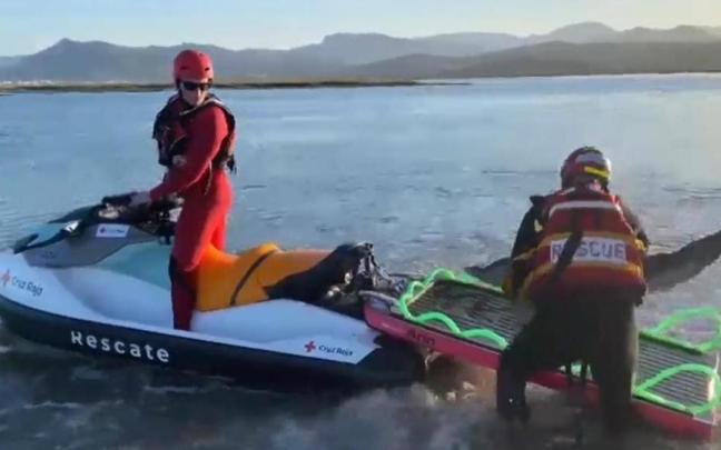 Así ha sido el rescate de dos crías de delfín varadas en Santoña