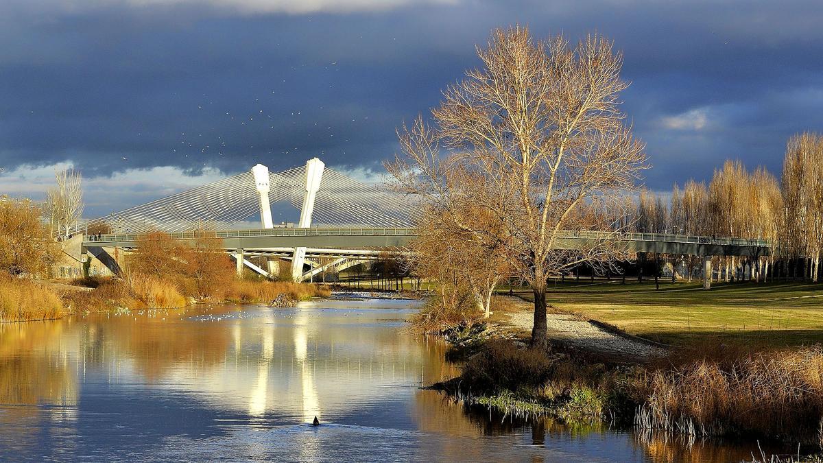 El parque fluvial del río Segre a su paso por Lleida.