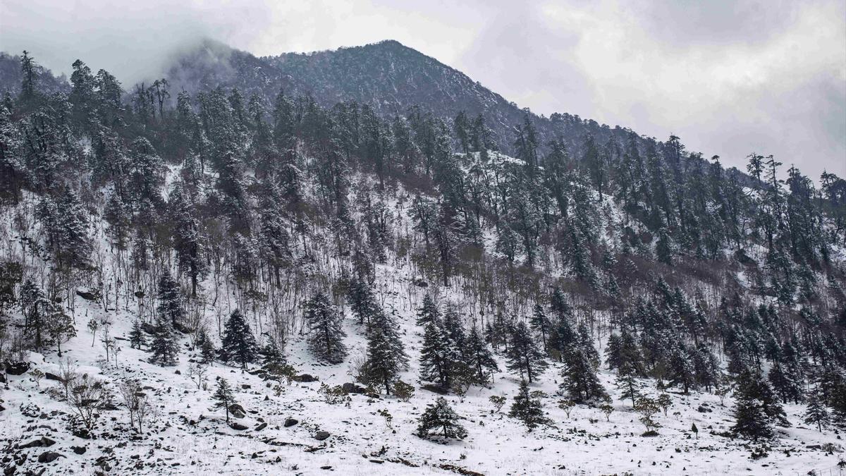 Montañas cerca de Gangtok, en el Himalaya indio.