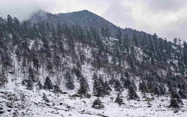 Montañas cerca de Gangtok, en el Himalaya indio.