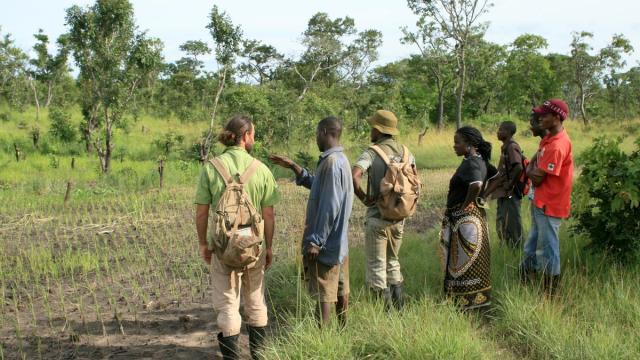 Programa que se desarrolla con las familias agricultoras en Mozambique.