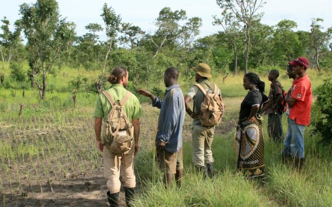 Programa que se desarrolla con las familias agricultoras en Mozambique.