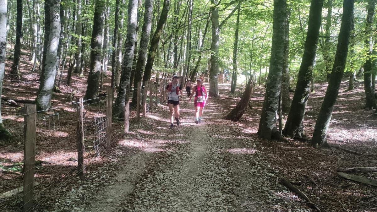 Por el mágico bosque de Erro entre los árboles y la hojarasca