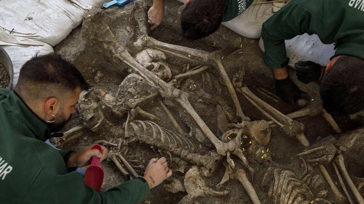 Un grupo de especialistas trabaja en labores de exhumación de restos en una fosa común de la Guerra Civil, una de las casi 6.000 registradas en todo el Estado español.