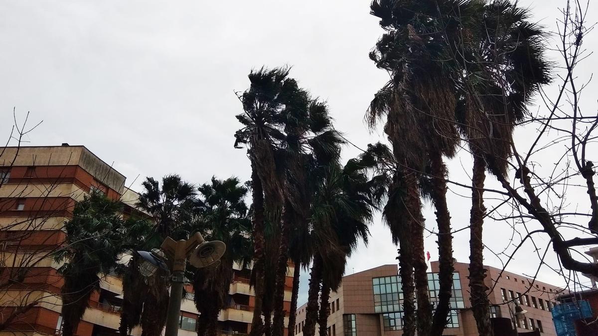 Rachas fuertes de viento en Euskadi.