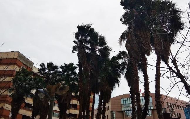 Rachas fuertes de viento en Euskadi.