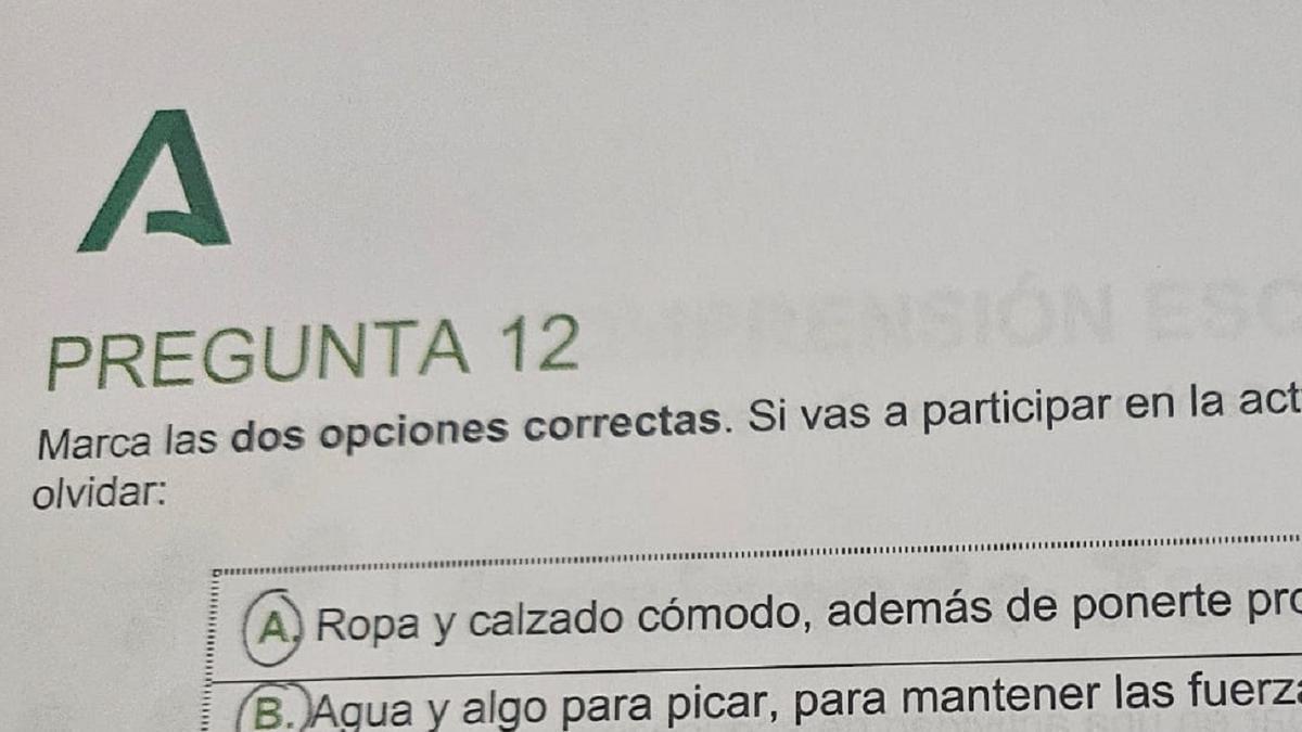 El comienzo de la pregunta.