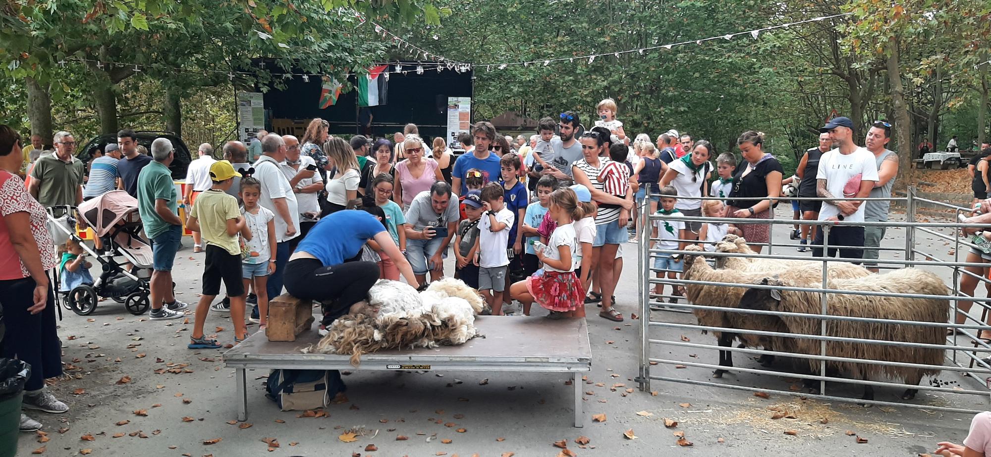 La pastora ayalesa Ainara Gotxi en su exhibición de esquileo tradicional